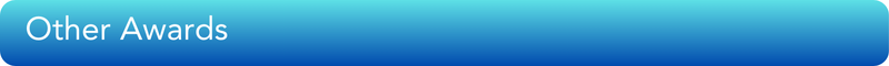 Button with text Other Awards
